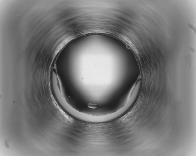 X0000094950898200712201135