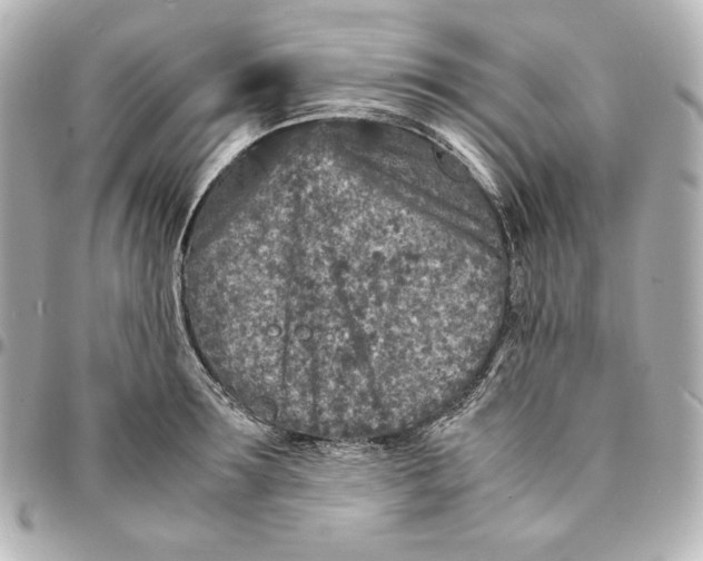 X0000094950899200712201135