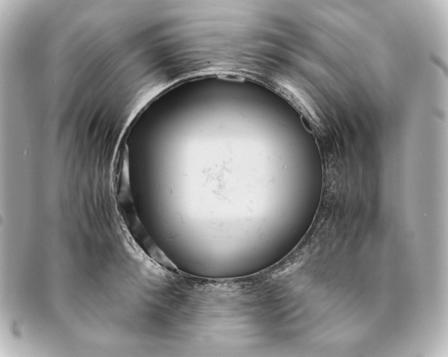 X0000094950900200712201134