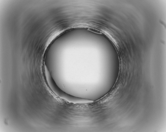 X0000094950901200712201134