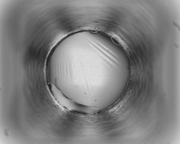 X0000094950902200712201134