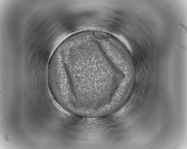 X0000094950903200712201134