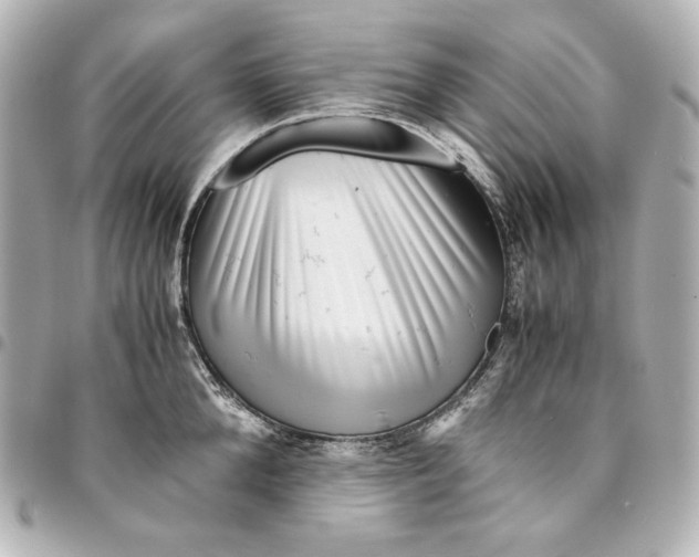 X0000094950904200712201134