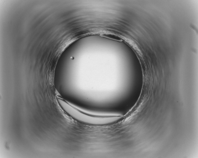 X0000094950905200712201134