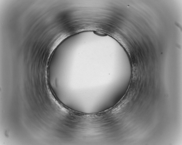 X0000094950906200712201134