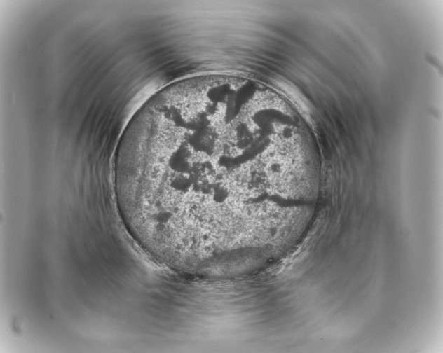 X0000094950907200712201134