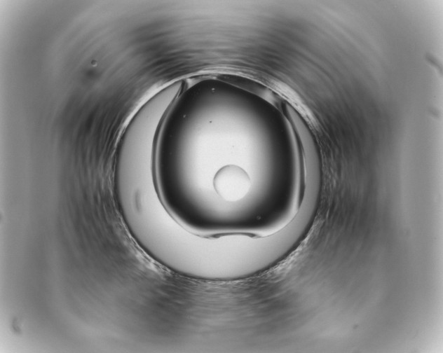 X0000094950908200712201134