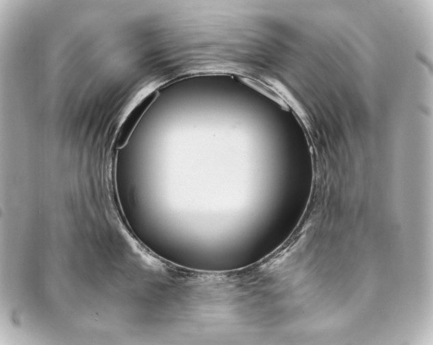 X0000094950909200712201134