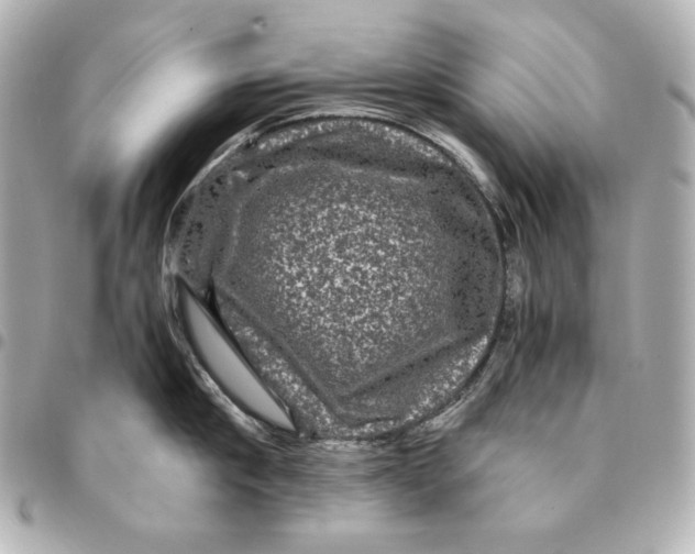 X0000094950910200712201134