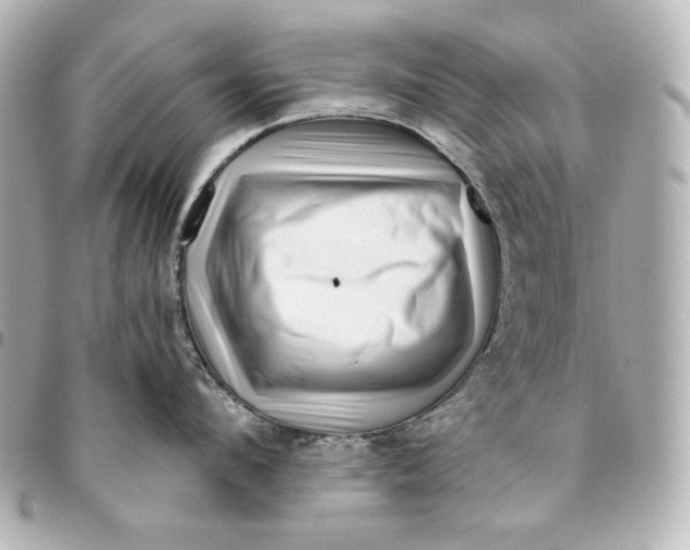 X0000094950912200712201134