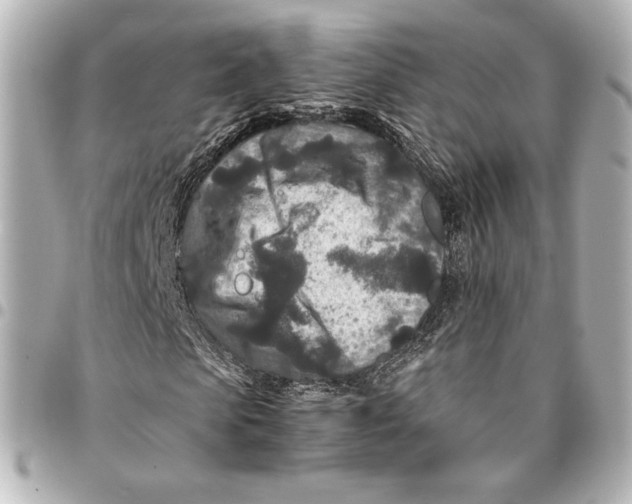 X0000094950913200712201134