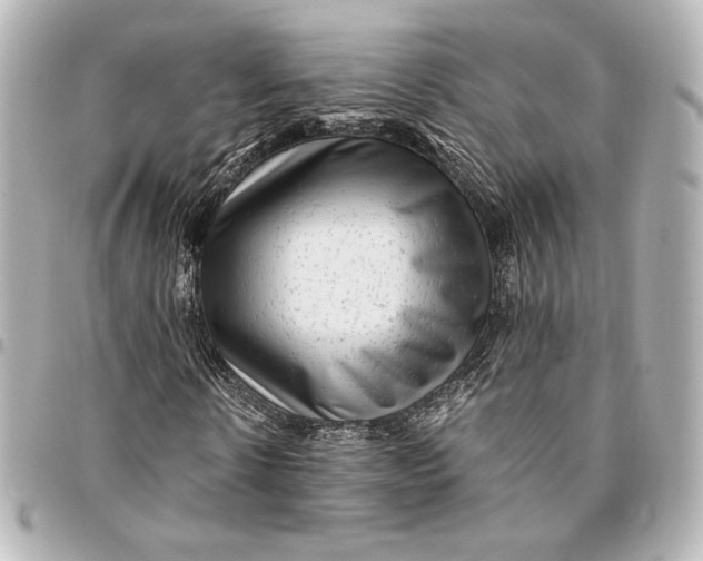 X0000094950914200712201134