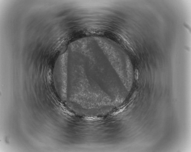 X0000094950915200712201134