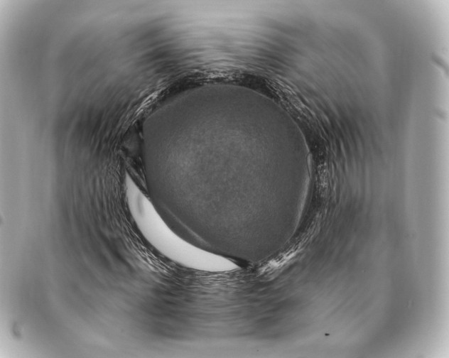 X0000094950916200712201134