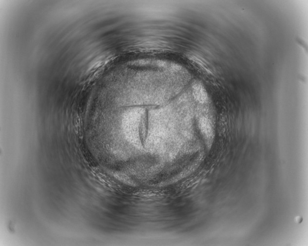 X0000094950917200712201134