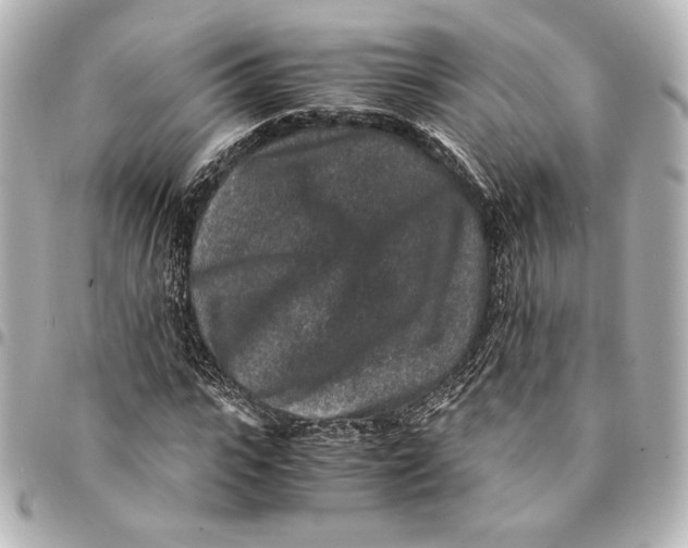 X0000094950919200712201134