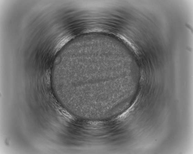 X0000094950921200712201134