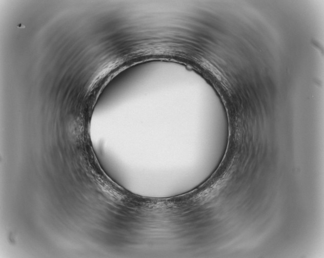 X0000094950922200712201134