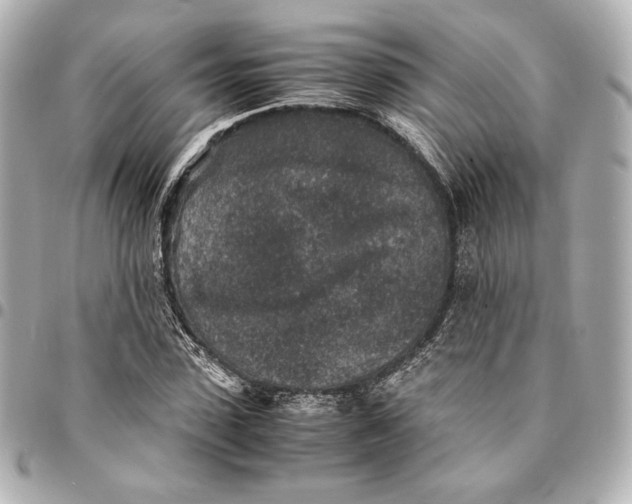 X0000094950923200712201134