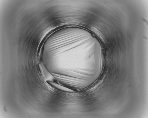 X0000094950924200712201134