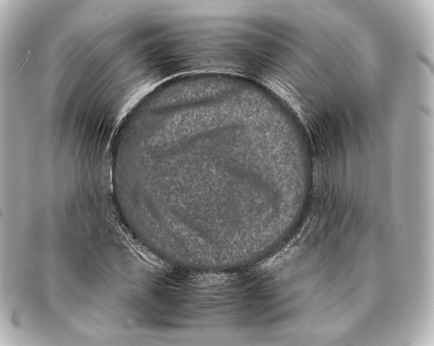 X0000094950925200712201134