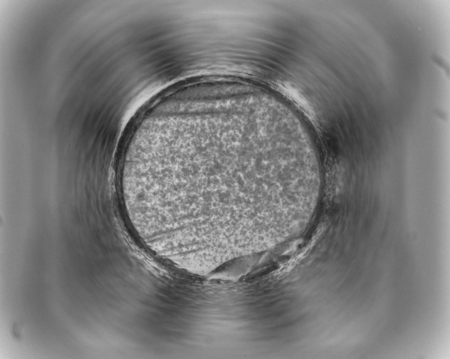 X0000094950928200712201134