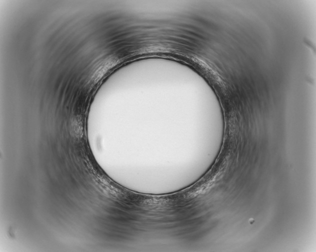 X0000094950929200712201134