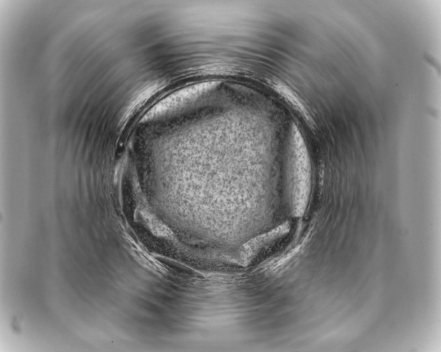 X0000094950930200712201134