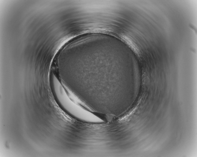 X0000094950932200712201134