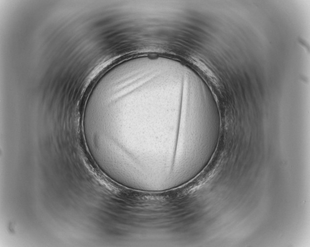 X0000094950933200712201134