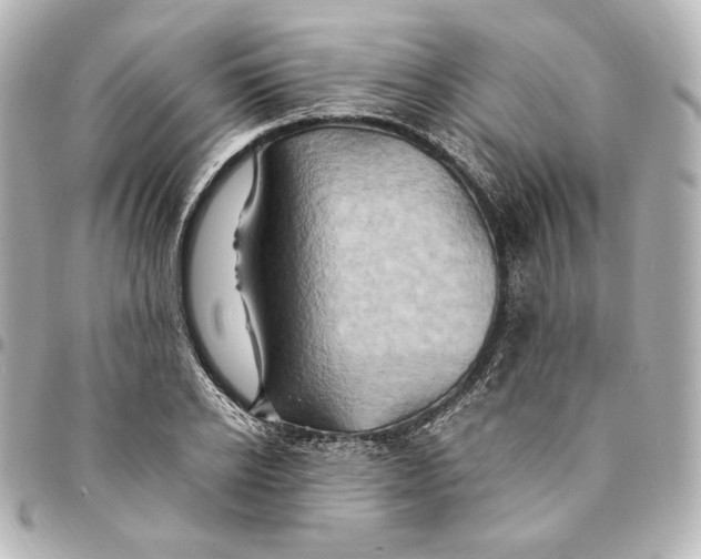 X0000094950934200712201134