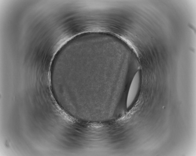 X0000094950935200712201134