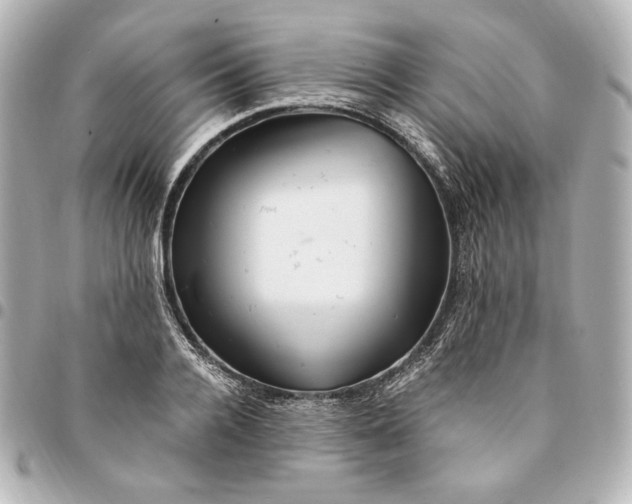 X0000094950936200712201134