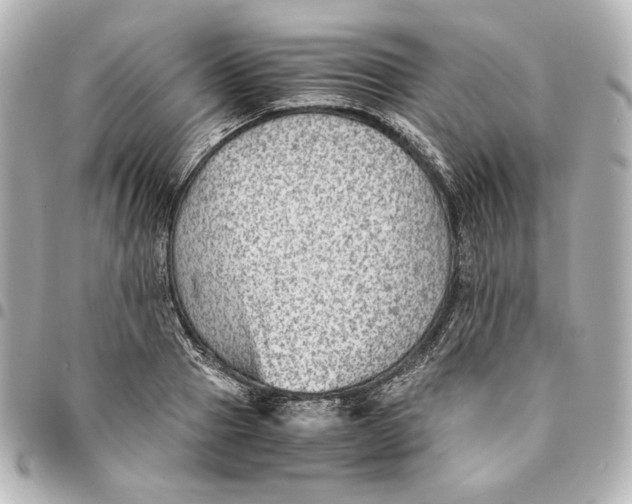 X0000094950937200712201134