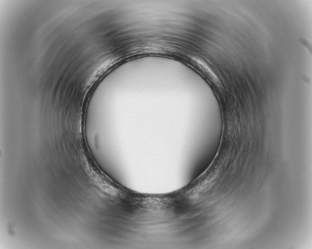 X0000094950938200712201134