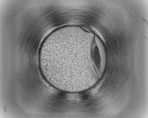 X0000094950939200712201134