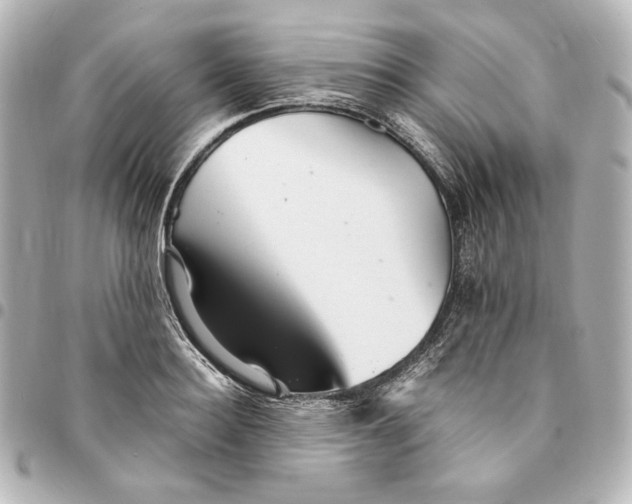 X0000094950940200712201134