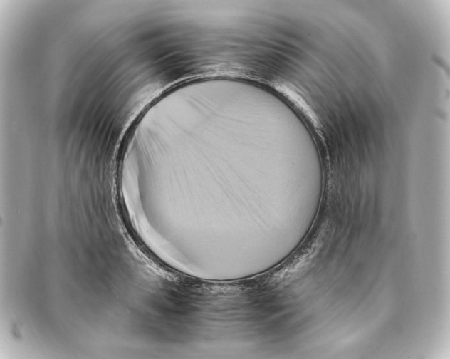 X0000094950941200712201134