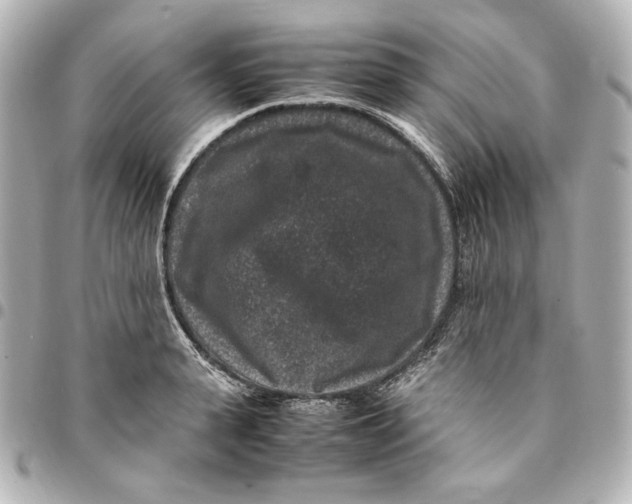 X0000094950943200712201134