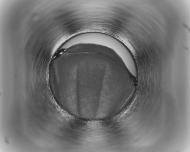 X0000094950944200712201134