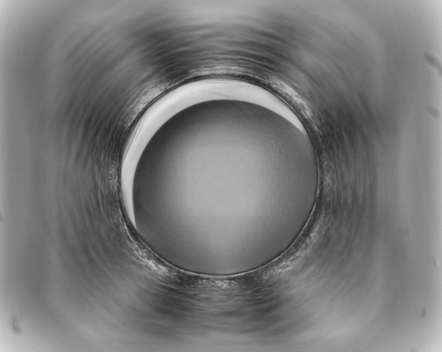 X0000094950945200712201134