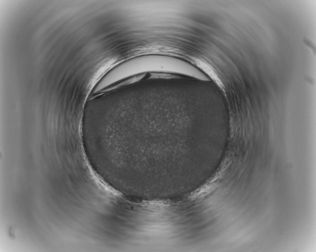 X0000094950946200712201134