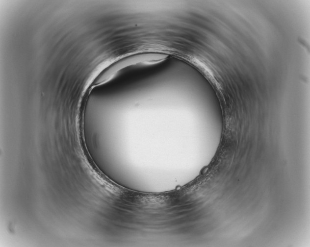 X0000094950947200712201134