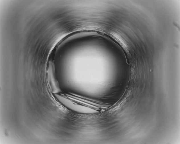 X0000094950948200712201134