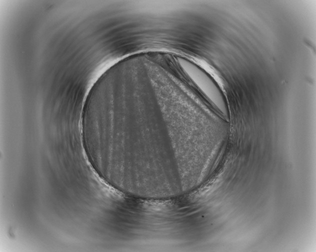 X0000094950951200712201134