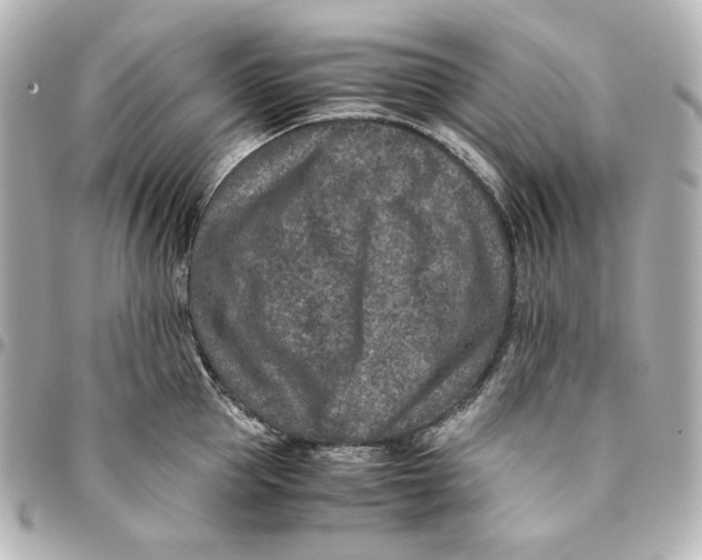 X0000094950953200712201134