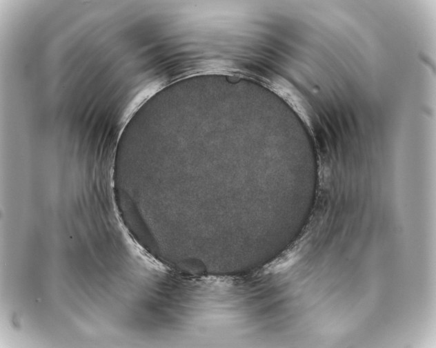 X0000094950954200712201134