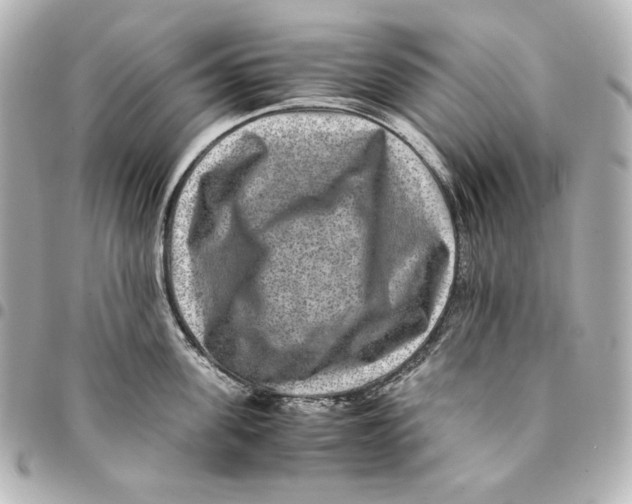 X0000094950955200712201134