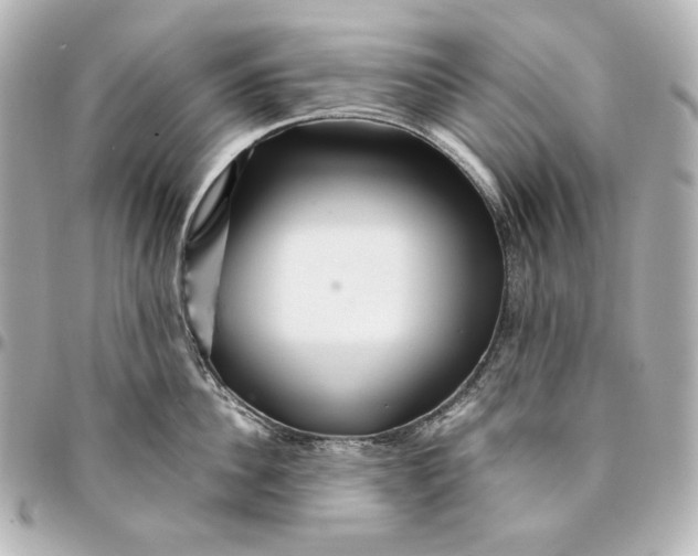 X0000094950956200712201134