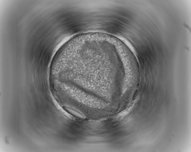 X0000094950957200712201134